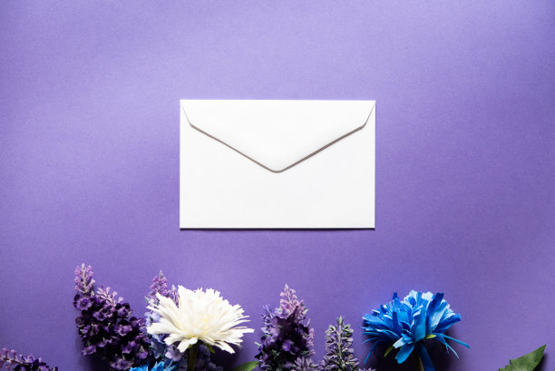 一个白色的信封，紫色的背景上放着野花，有足够的空间来写信息。图片下载