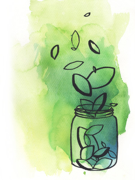 轮廓绿色的叶子落在罐子里。图片下载