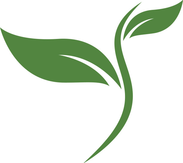 eco树叶图片下载