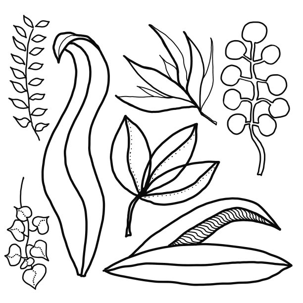 手绘线条艺术花卉元素孤立在白色背景上图片下载