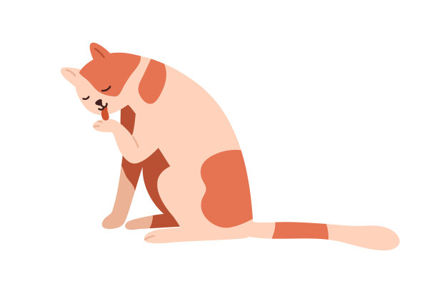 可爱的小猫舔爪子洗干净和图片下载