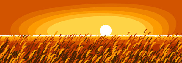 麦田里的夕阳在黄昏的光线下恬静而平静的景观矢量插图，忘记所有的问题和放松的概念。图片下载