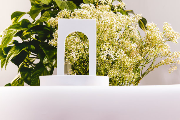 模拟背景化妆或产品摄影与立管和底座。图片下载