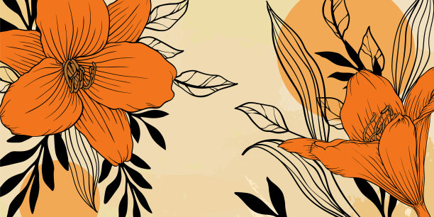 抽象艺术花卉背景手绘轮廓图片下载