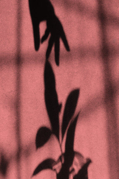 模糊阴影的女性手握树枝与树叶在垃圾墙背景与线条图案。摘要，光影戏，自然光，光影戏的错觉概念图片下载