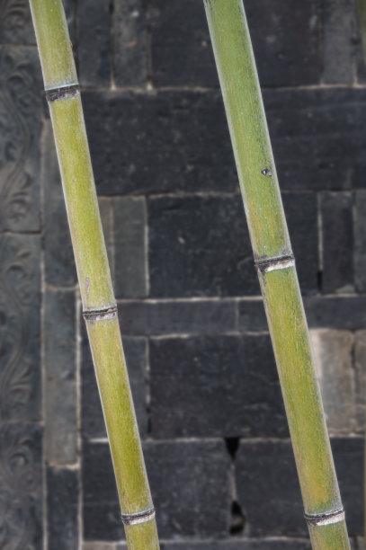 中国古代院落的时光之美图片下载