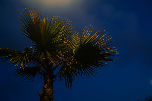 在摩洛哥拉巴特的一晚图片下载