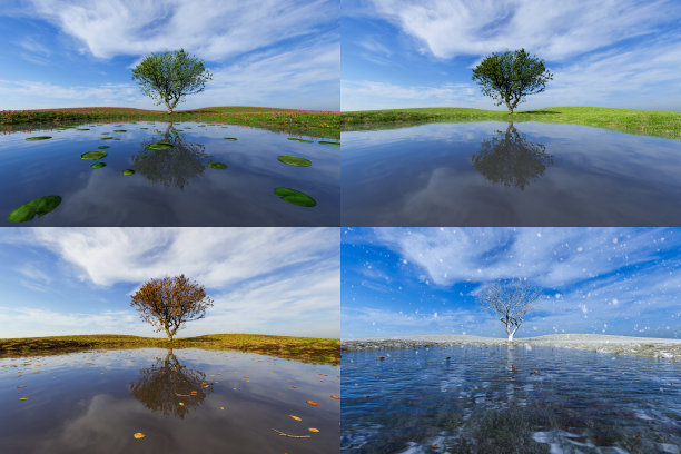 所有的季节在一张照片。冬天，春天，夏天和秋天。图片下载