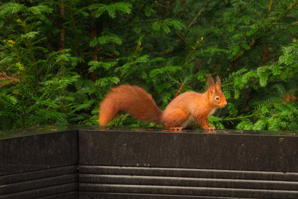 艾希霍恩岑图片下载