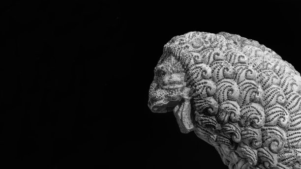 卢卡凶猛的狮子头(黑白，带复制空间)图片下载