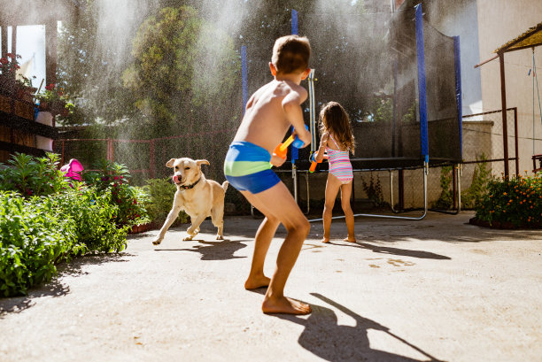 在后院玩水图片下载