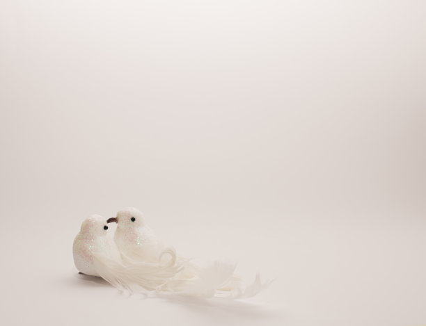 一对相爱的鸟儿，一张结婚卡片。空的空间。创意复制空间布局。平铺，柔和的背景。图片下载