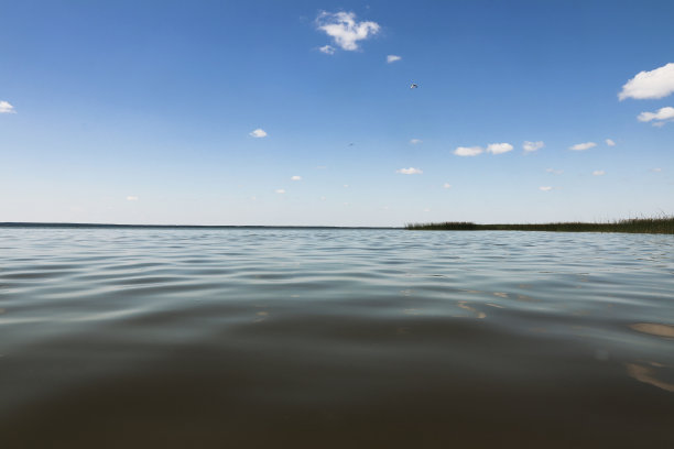 夏季水面在阳光明媚的天气。图片下载