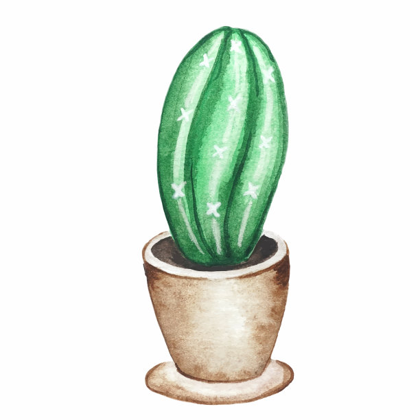 水彩矢量插图仙人掌在花盆，花卉剪纸，孤立的花在一个花盆在白色的背景图片下载