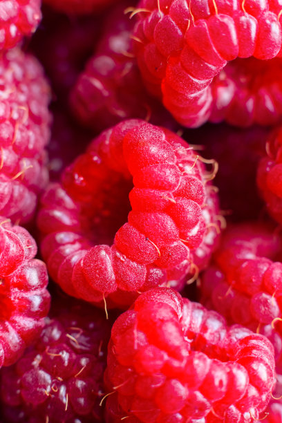 成熟的大红色覆盆子。食品的背景。特写镜头。图片下载