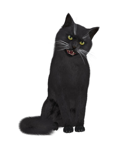 西伯利亚的黑色图片下载