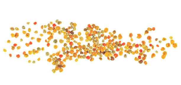 俯视图的蜜蜂花粉孤立在一个白色的背景。蜂花粉粒为天然健康药物。图片下载