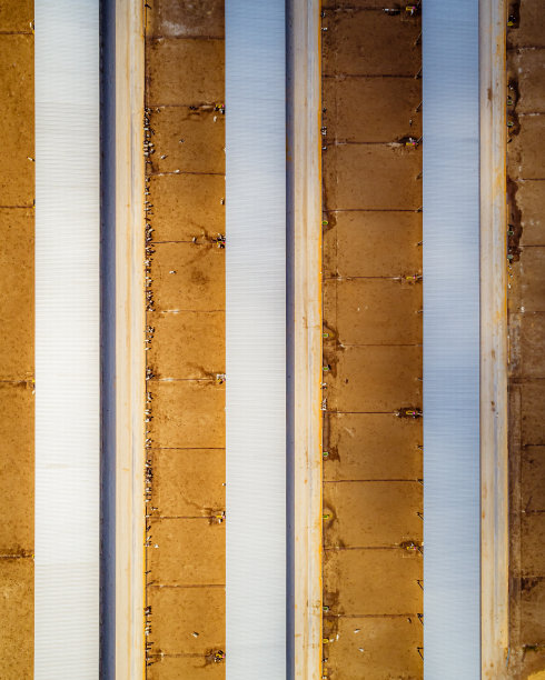 鸟瞰图小牛饲养设施-工业农业图片下载