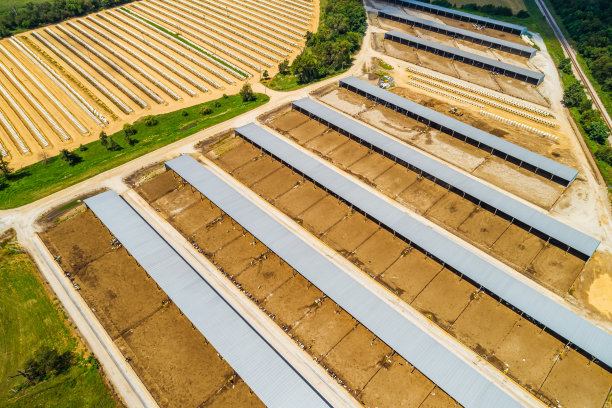 鸟瞰图小牛饲养设施-工业农业图片下载
