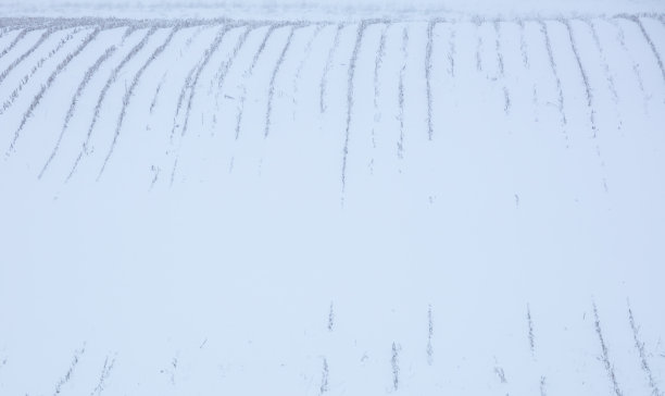 雪轧制领域图片下载