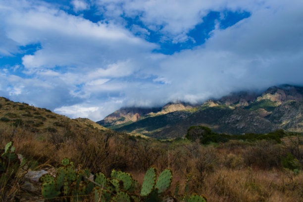 云雾缭绕的山图片下载