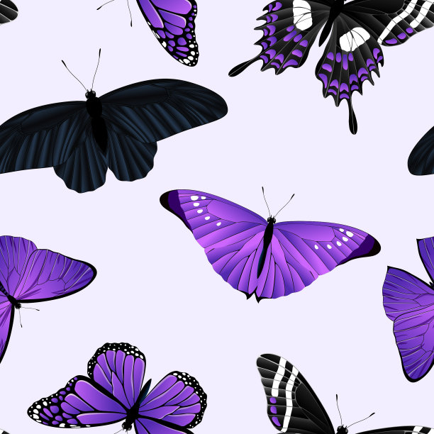 无缝矢量图案飞行的蝴蝶紫色的颜色。图片下载