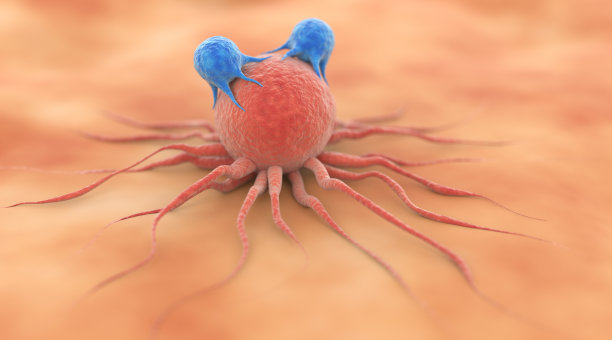 t细胞攻击癌细胞图片下载