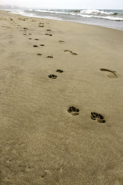 在沙滩上漫步图片下载