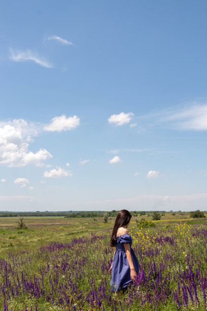 一个年轻的黑发女人穿着蓝色的衣服，在鼠尾草中享受大自然。有选择性的重点。图片下载