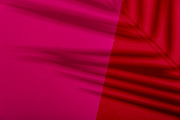 红色和粉红色的夏季颜色背景与热带棕榈阴影。两种趋势粉彩纸和异国情调的植物遮阳布局。最小的平面与叶子剪影覆盖。图片下载