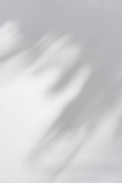 阴影的棕榈叶在白色的背景和纹理图片下载