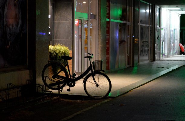 晚上，自行车停在花丛旁图片下载