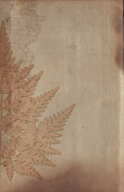 旧的复古粗纸背景与植物浮雕纹理图片下载