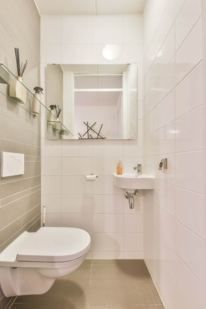 现代风格的豪华卫生间图片下载