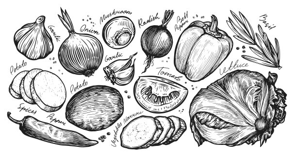 蔬菜。蔬菜市场手绘插图。的素描向量图片下载