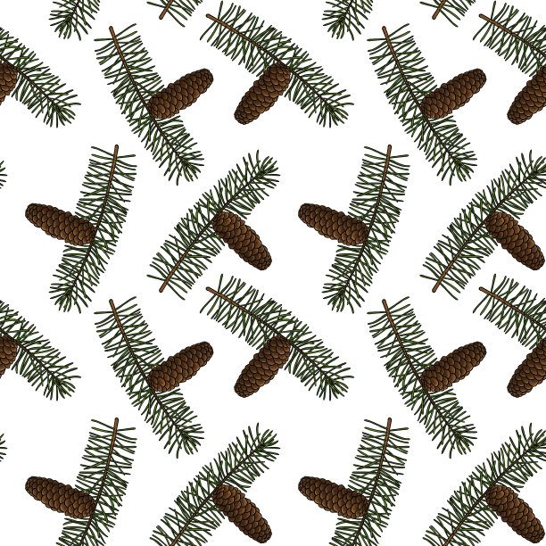 无缝图案与杉木树枝图片下载