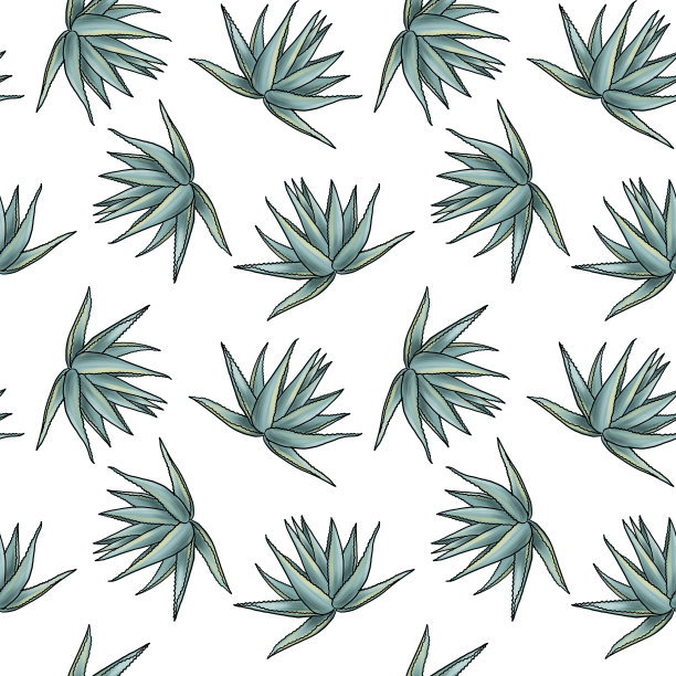 天衣无缝的龙舌兰花纹图片下载