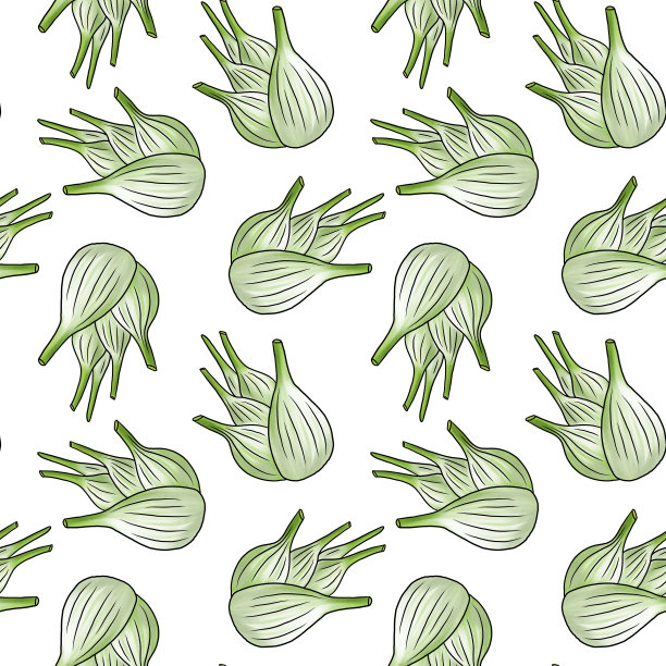 无缝的茴香球茎图案图片下载