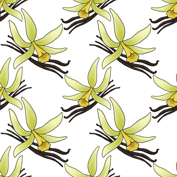 无缝的香草花图案图片下载