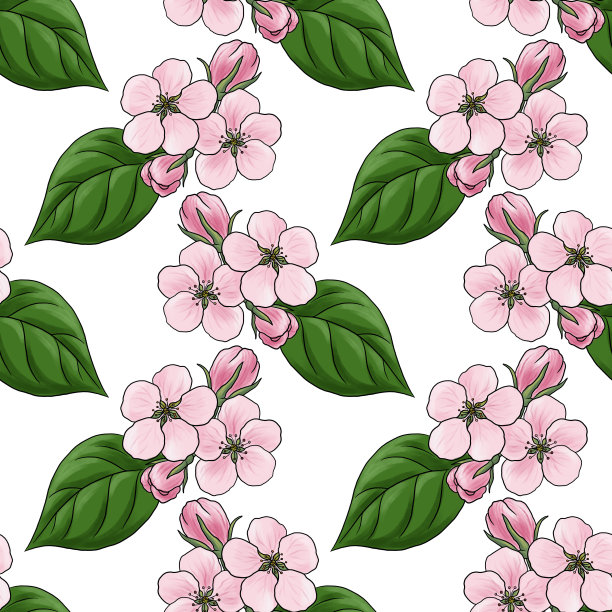 无缝的苹果花图案图片下载