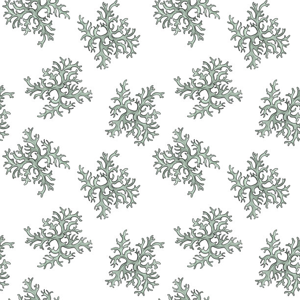 无缝橡木苔图案图片下载