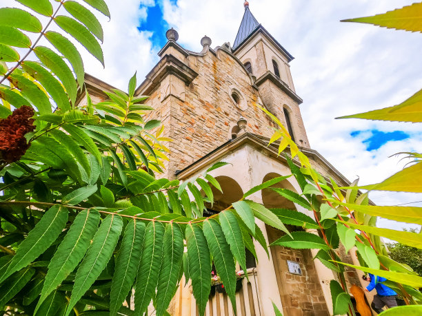 透过绿色的树枝眺望古老的教堂。古老的建筑。一个有趣的视角。图片下载