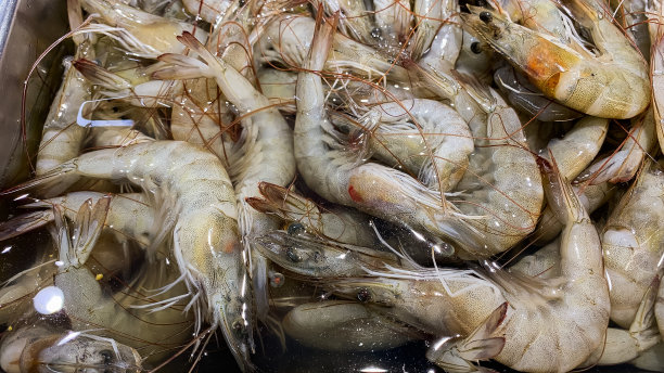 超市里一堆新鲜的大虾图片下载