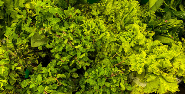 超市里一堆新鲜的青菜图片下载