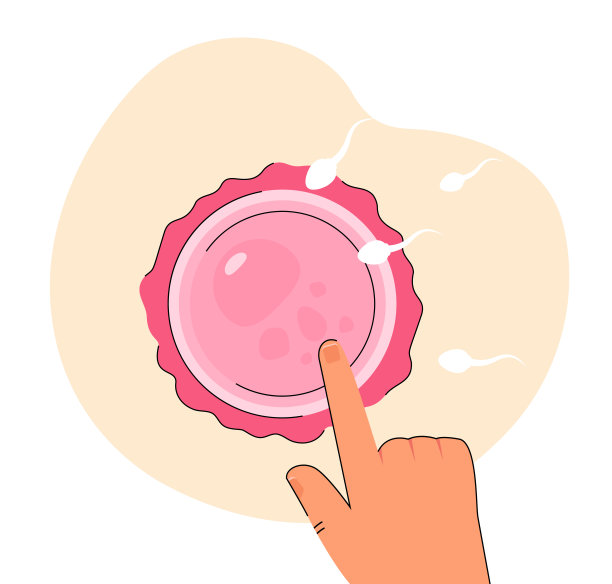 手指指着卵子和精子图片下载