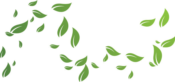 树叶秋天图片下载