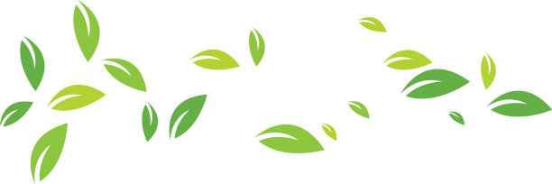 树叶秋天图片下载