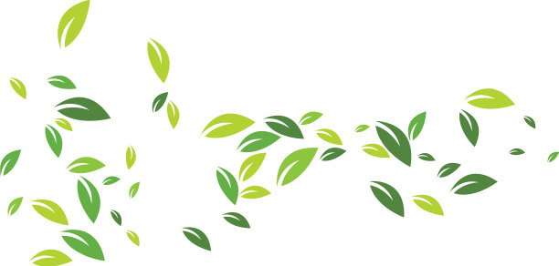 树叶秋天图片下载