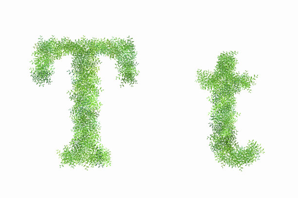 阿拉伯式英语字母T图片下载