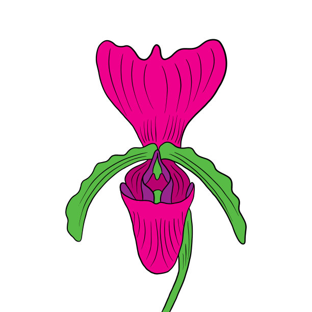 波普艺术风格图片下载